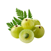 green-grapes-with-green-leaves-transparent-background